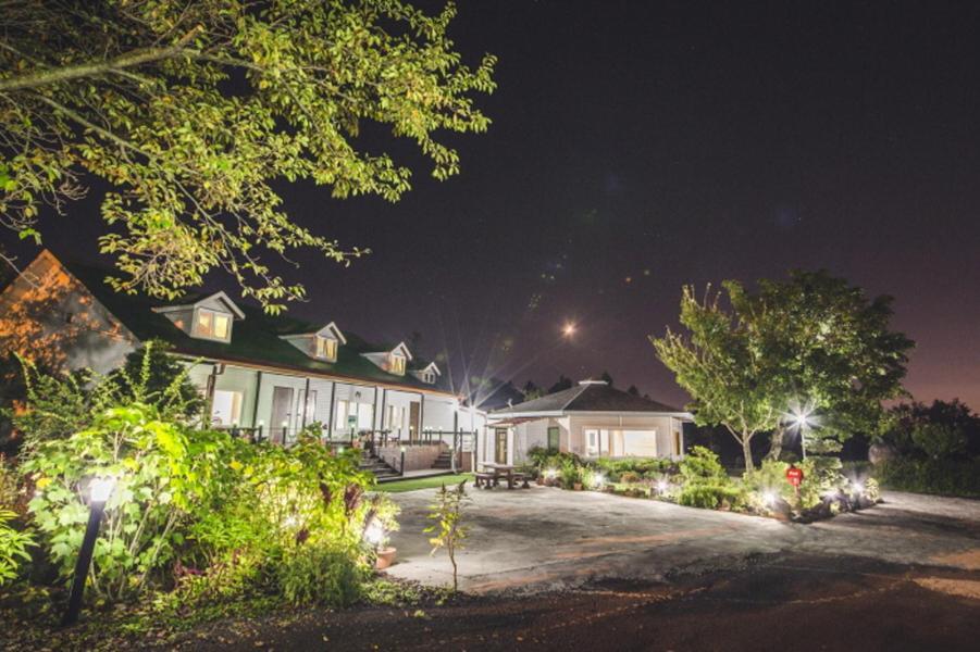 Sunyang Village Pension Jeju Ngoại thất bức ảnh