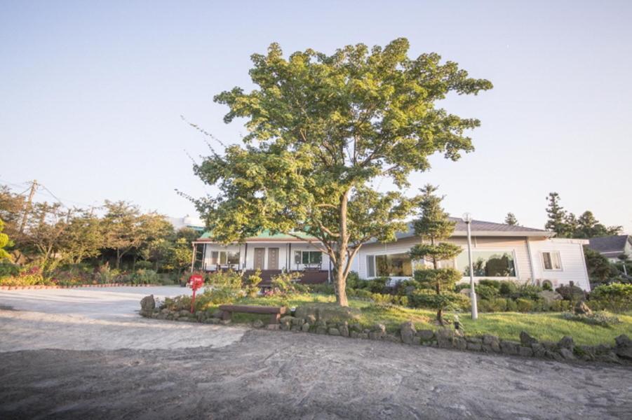 Sunyang Village Pension Jeju Ngoại thất bức ảnh